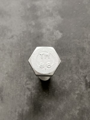 Болт М8х60 1/60444/21