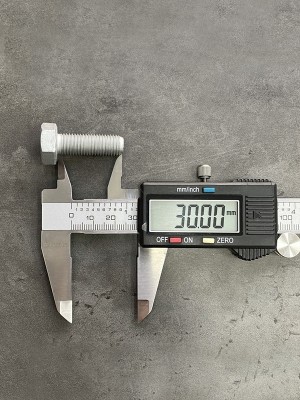 Болт М10х30х1,25 1/13069/21