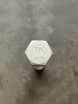 Болт М10х40х1,25 1/13070/21