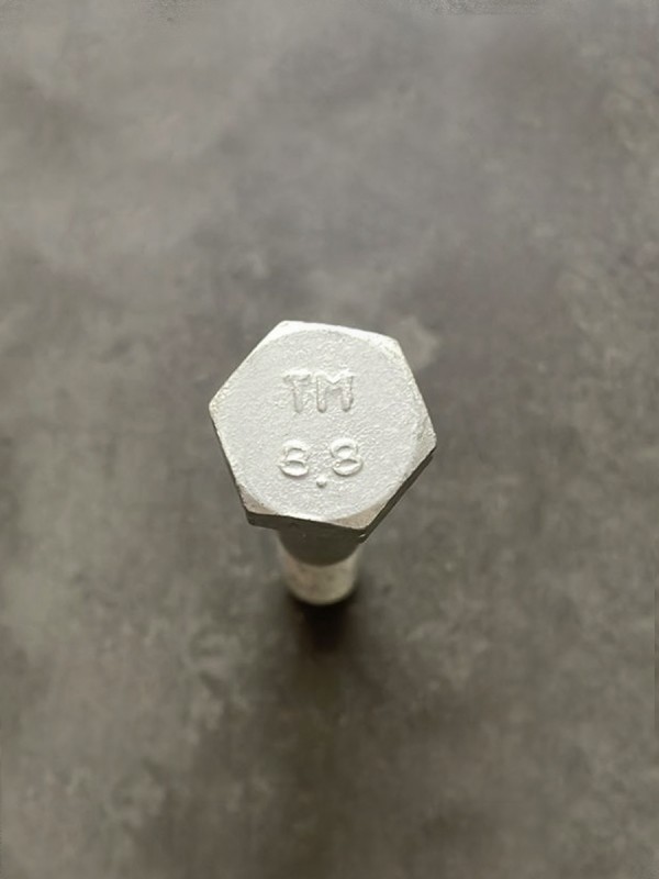 Болт М10х60х1,25 1/12880/21