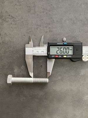 Болт М10х65х1,25 1/13437/21