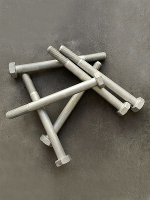 Болт М10х110х1,25 1/59720/21